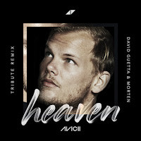 Avicii & Chris Martin